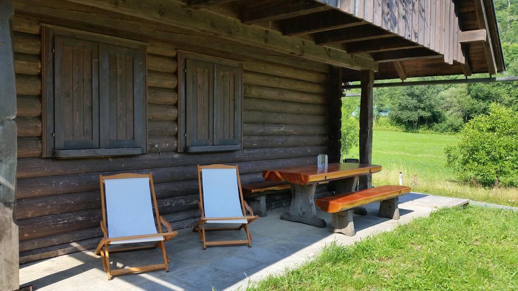 Brunarica Bled Zatrnik Pokljuka Стая снимка