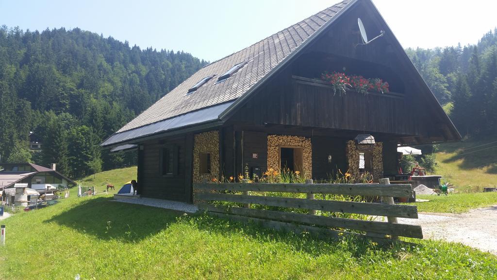 Brunarica Bled Zatrnik Pokljuka Стая снимка